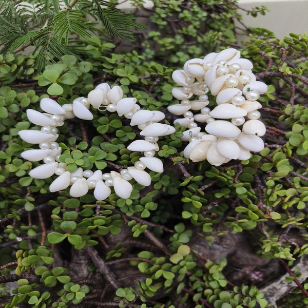 white kawarie and beads bracelet